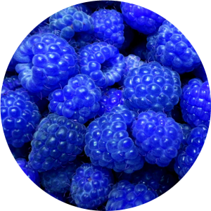 Slush & iceberg blue raspberry
