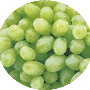 Slush & iceberg grapes